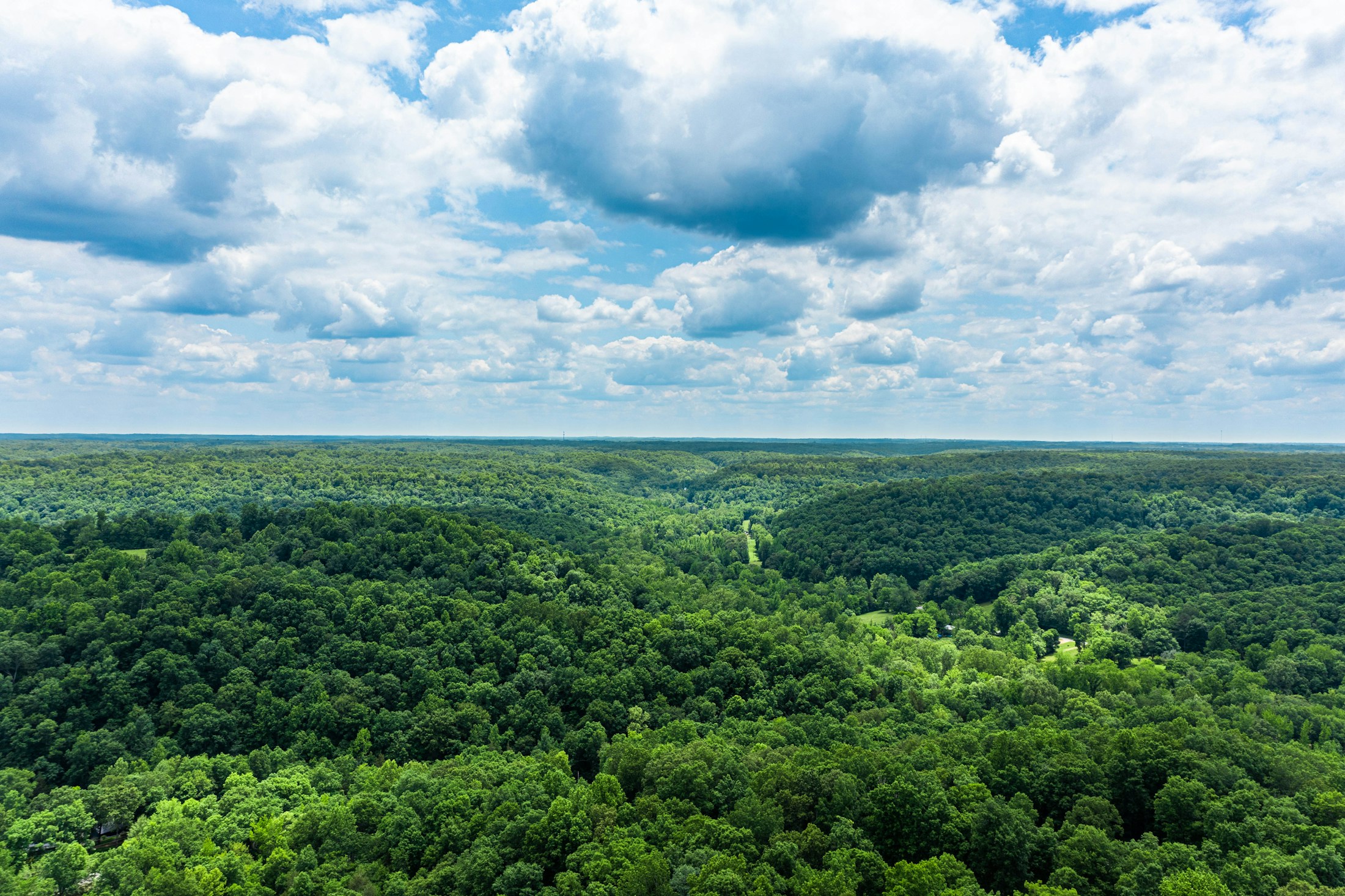 Green Hills and Belle Meade